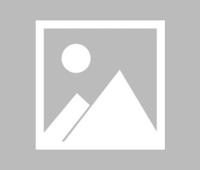 【德国杯】德累斯顿vs美因茨比赛结果：德累斯顿(0-1)美因茨比分战报(2025年08月19日)